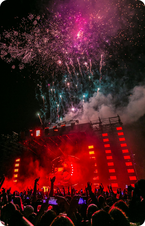 Picture and Content Section